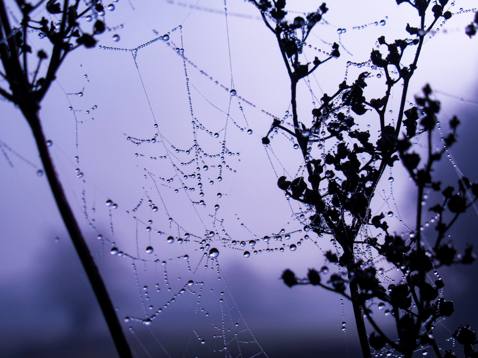 Herbstimpression